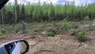 Metsätyökoneenkuljettajalle, alan miehiä näemmä, positiivinen erityismaininta reittimerkkipuiden jättämisestä reitin varteen :D Kestää nojata mutkamerkkiin! MK1, etelämutka.